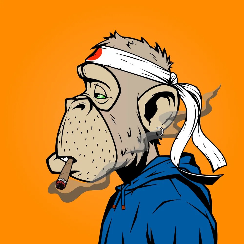 1 ape is still 1 ape 🫡