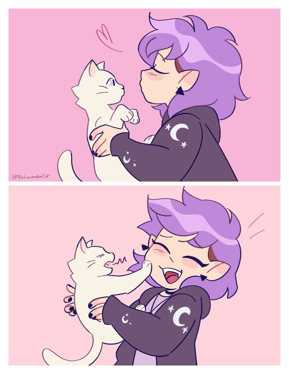 piper 🥞 tweet media