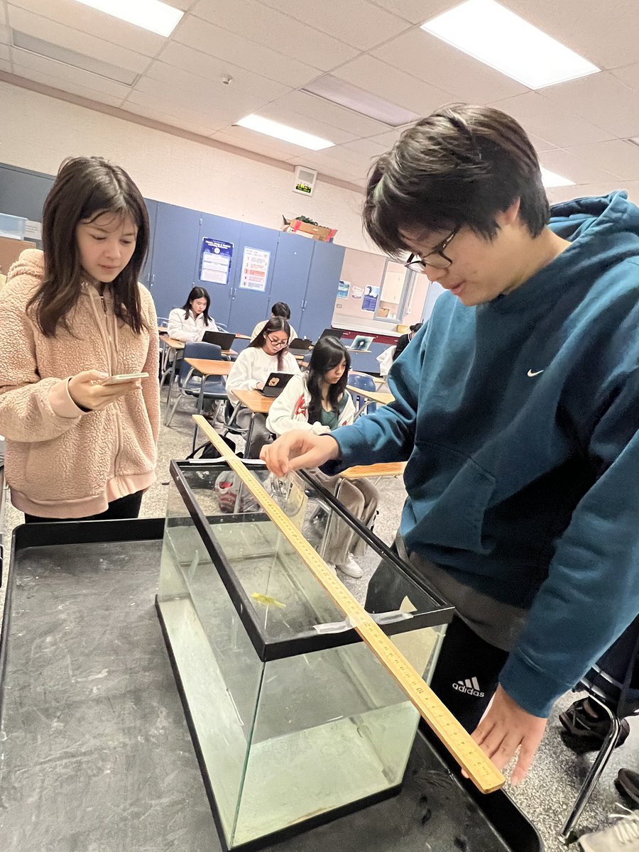 zhenbio's tweet photo. It’s a fitness challenge! 💪
Bio students design a fish that will move efficiently through the water! 🐟🐠
#STEM_engineering_design 
#zhenapbio https://t.co/qTOOIsFPBU