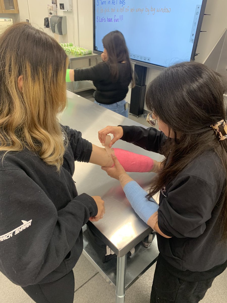 Today Practicum students got to learn how to properly bandage by using each other’s arm to bandage. They get to wear their bandage for 24 hours &amp; grade their partner on their wrapping ability. It allows them to feel what a pet would feel as well.