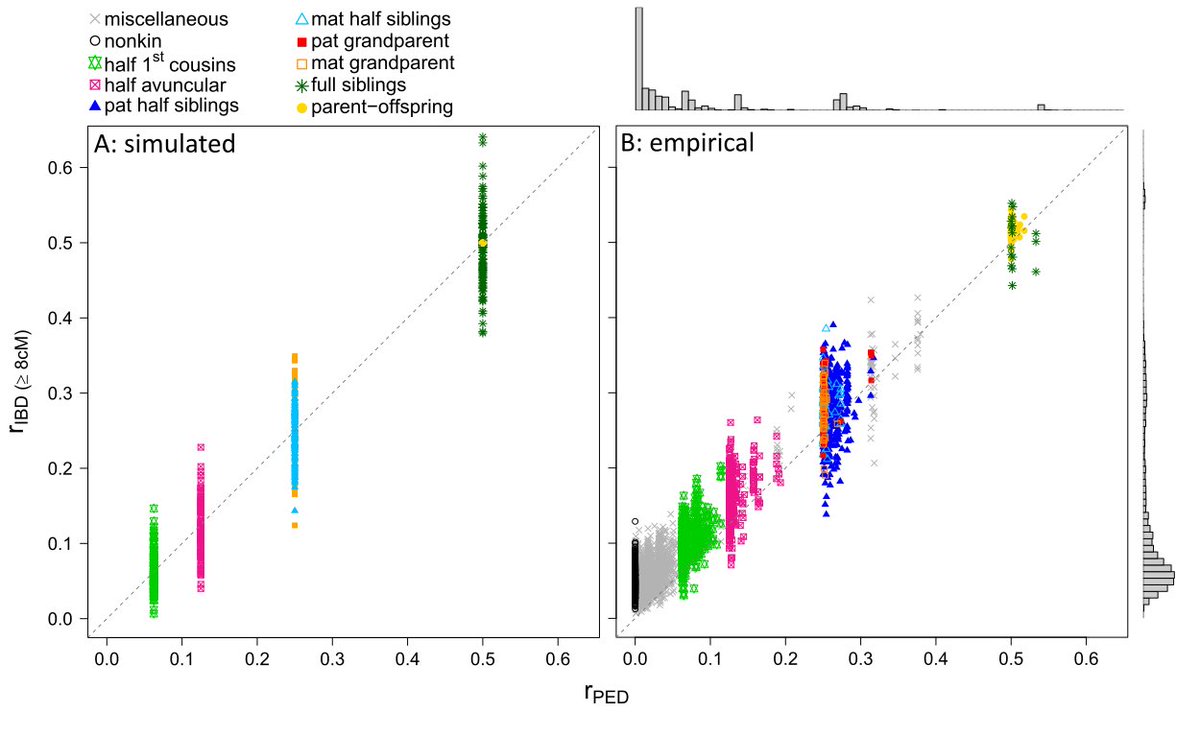 AnnikaFreudiger's tweet photo. With this method, we can capture the substantial variation of realized relatedness within and between kin classes. It enables us to detect previously unknown genetic relatives and to measure the level of background relatedness in the study population. [3/3] https://t.co/GqJs6CVwdH