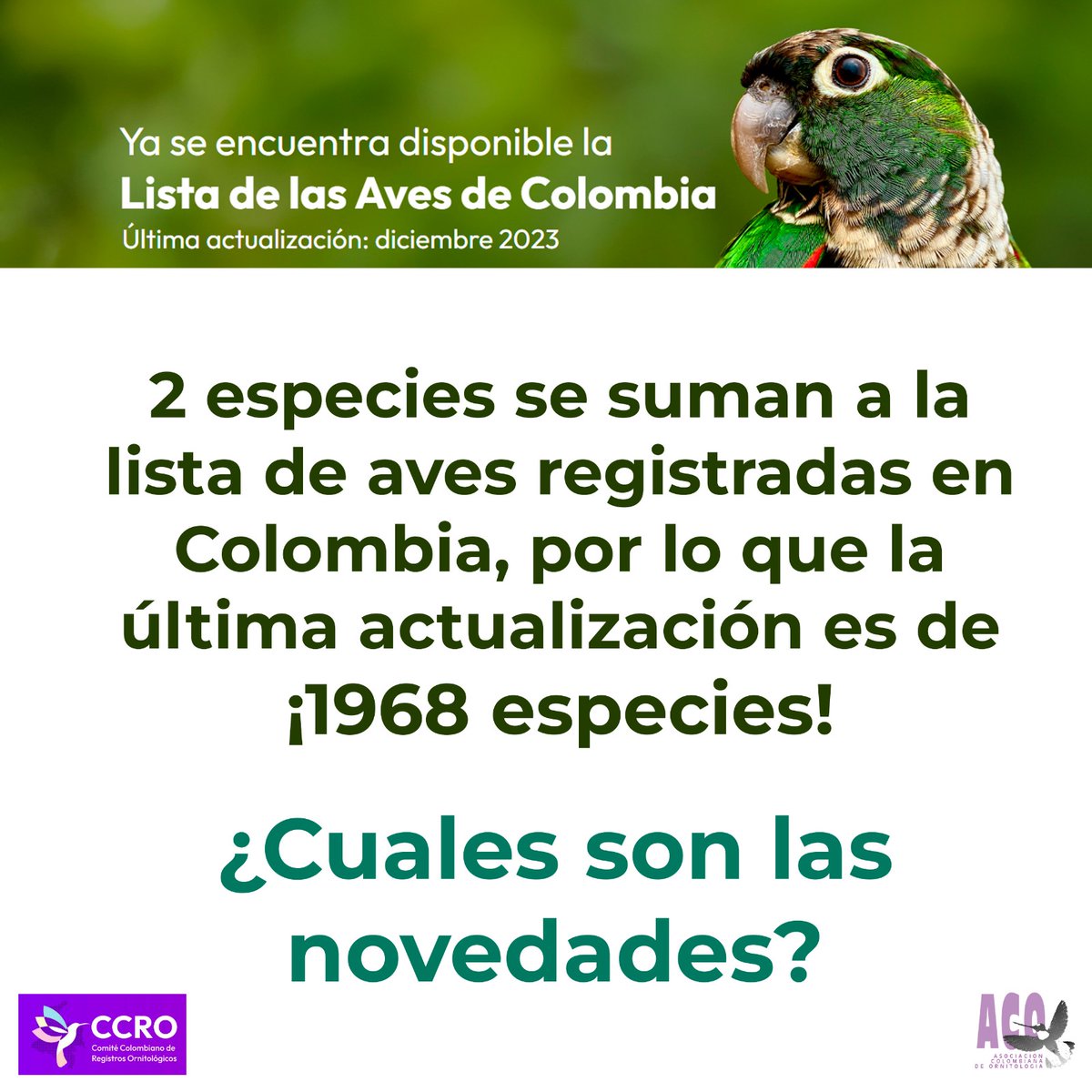 OrnitologiaCol's tweet photo. ¡NUEVA ACTUALIZACIÓN DEL LISTADO DE AVES DE COLOMBIA! 🦉🦅🐦‍⬛
El Comité Colombiano de Registros Ornitológicos (CCRO) presenta la más reciente actualización a la Lista oficial de las aves de Colombia DIC 2023. Acá algunas novedades🧵

Ingresa al link 👇🏽
https://t.co/jNK1qCugQD https://t.co/IWlh1JgSP1