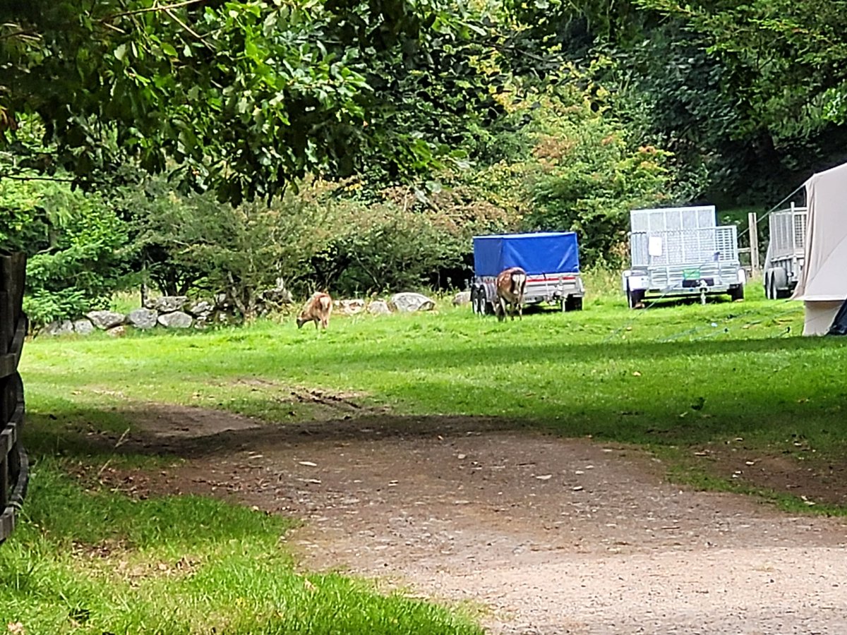 Neil mcstravick tweet media