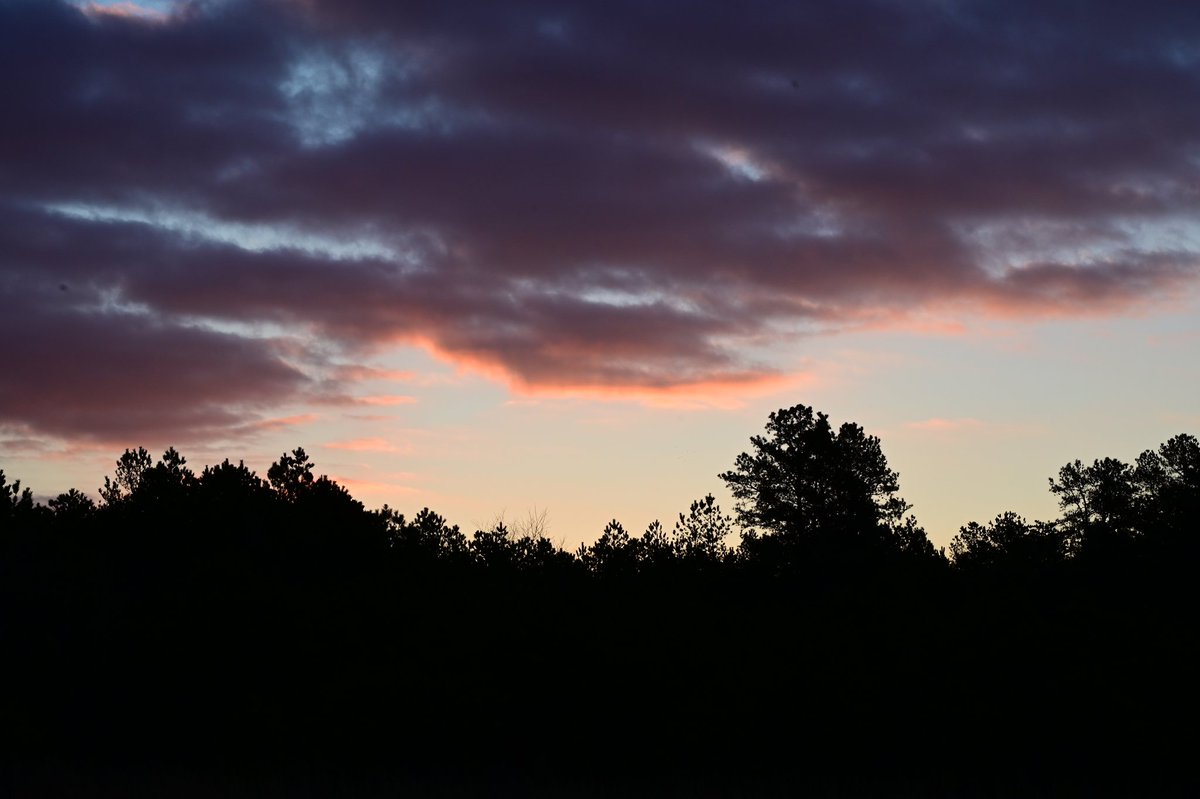 nj_pinelands's tweet photo. This morning's sunrise over Wharton State Forest in the New Jersey Pinelands ... 

📹 : Paul Leakan, Pinelands Commission Communications Officer

#pinelands #sunrise #njstateparks #NewJersey #NaturePhotography #NatureBeauty #Forests #sunrisephoto #NJ https://t.co/Q3Tt9N6vR5