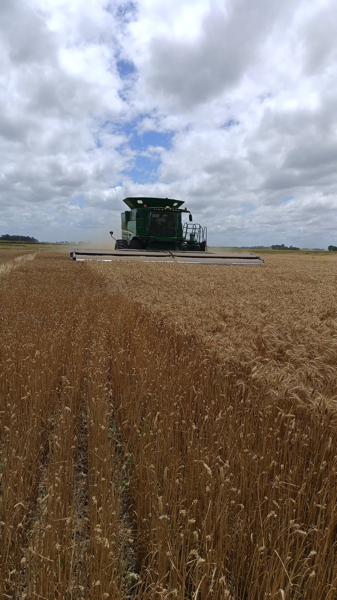 Santiago Tourn (@santiagotourn) on Twitter photo Hoy en <a href="/mecatech_ag/">MecaTech Agroconsultora</a> tuvimos el primer acercamiento al cabezal stripper de <a href="/GFASagro/">G-FAS</a> .
Gracias Ana y <a href="/hhdospierre/">Hector A. Huergo</a> Hoy en <a href="/mecatech_ag/">MecaTech Agroconsultora</a> tuvimos el primer acercamiento al cabezal stripper de <a href="/GFASagro/">G-FAS</a> .
Gracias Ana y <a href="/hhdospierre/">Hector A. Huergo</a>