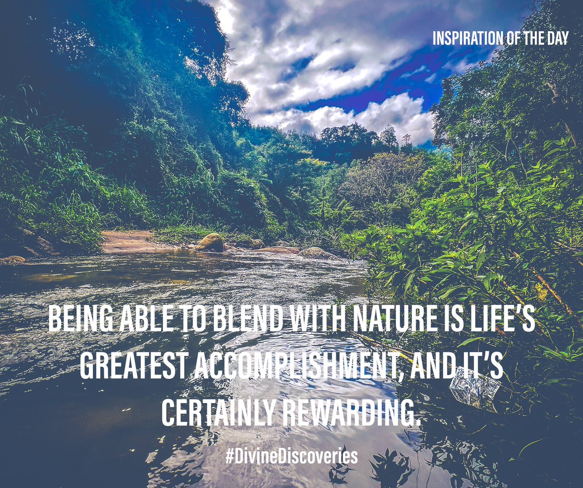 niro_pathi's tweet photo. Embracing the ability to blend with nature seamlessly is the pinnacle of life's achievements. The profound connection and harmony with the natural world bring unparalleled fulfilment and rich rewards to our existence.#DivineDiscoveries #inspirationoftheday #visiitsrilanka https://t.co/wC8Pcx5EDe