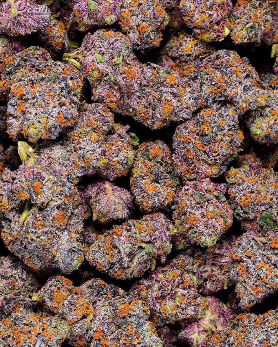 _StonersRUs_'s tweet photo. Forbidden Fruits 🚫🍇🍌

📸 @CannaExotics 
#StonerFam #Mmemberville https://t.co/LLqER3UMiz