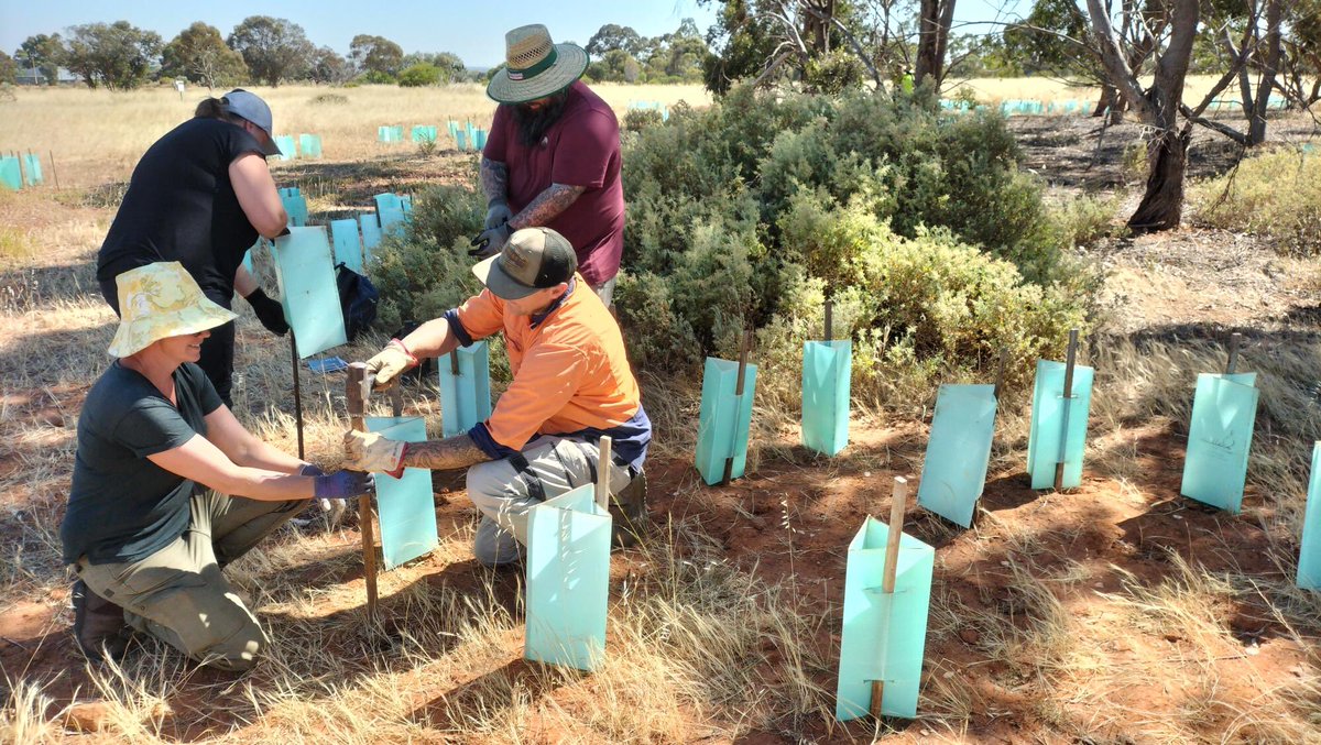 AdelCemeteries's tweet image. We are thrilled with #TAFESA #Horticulture students’ care, dedication and outcomes on their recent visit to Smithfield Memorial Park. 🌿🍃🌳 Students practiced their skills and knowledge in #plant and weed identification and post-planting maintenance of a #revegetation site.