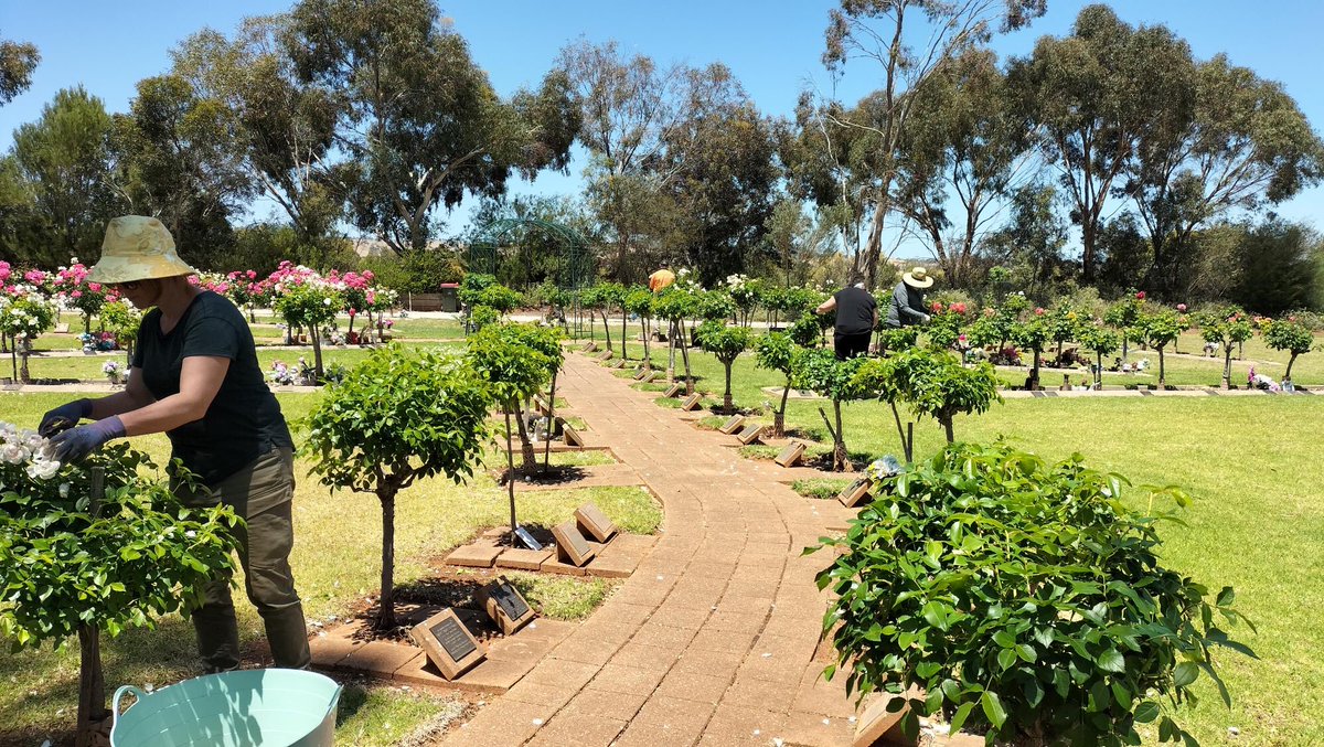 AdelCemeteries's tweet image. We are thrilled with #TAFESA #Horticulture students’ care, dedication and outcomes on their recent visit to Smithfield Memorial Park. 🌿🍃🌳 Students practiced their skills and knowledge in #plant and weed identification and post-planting maintenance of a #revegetation site.