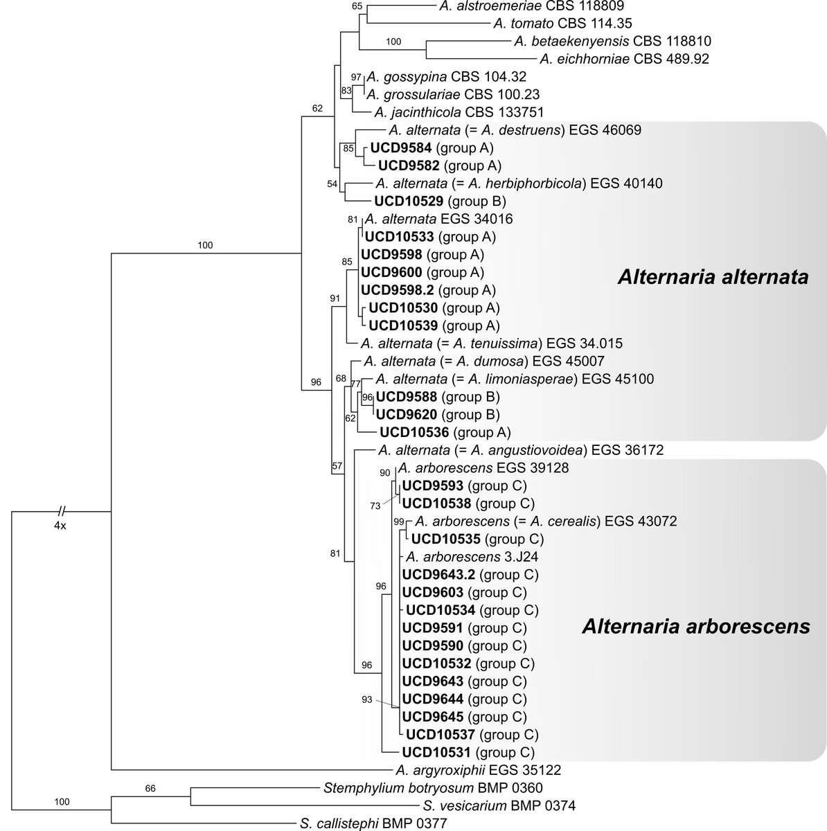 Happy to share our latest publication on Phytopathologia Mediterranea <a href="/MugnaiLaura/">Phytopathologia Mediterranea</a> "Identification and pathogenicity of Alternaria species causing leaf blotch and fruit spot of apple in California" 🍎🔬🍄 oajournals.fupress.net/index.php/pm/a…