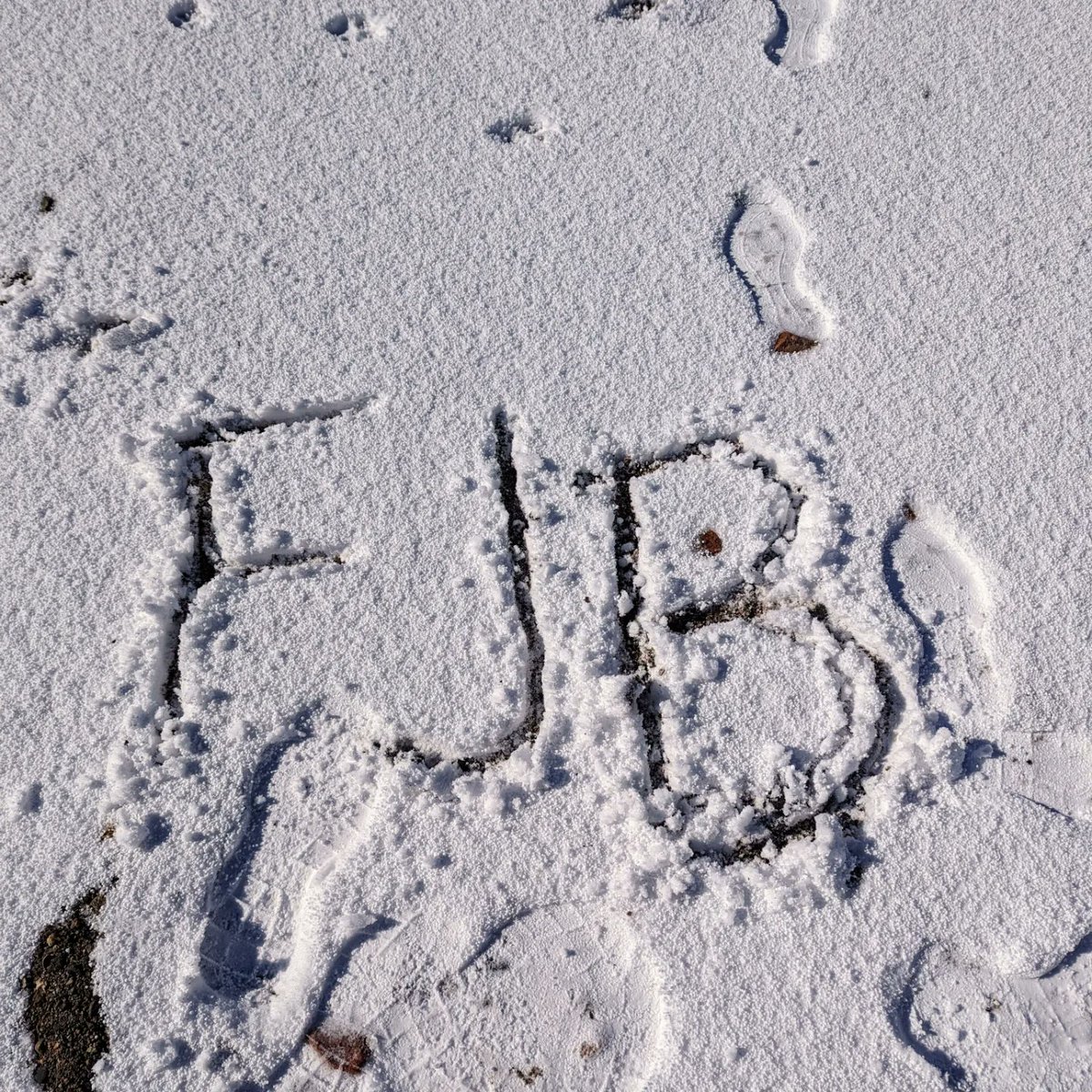 code_e_coyote's tweet image. 