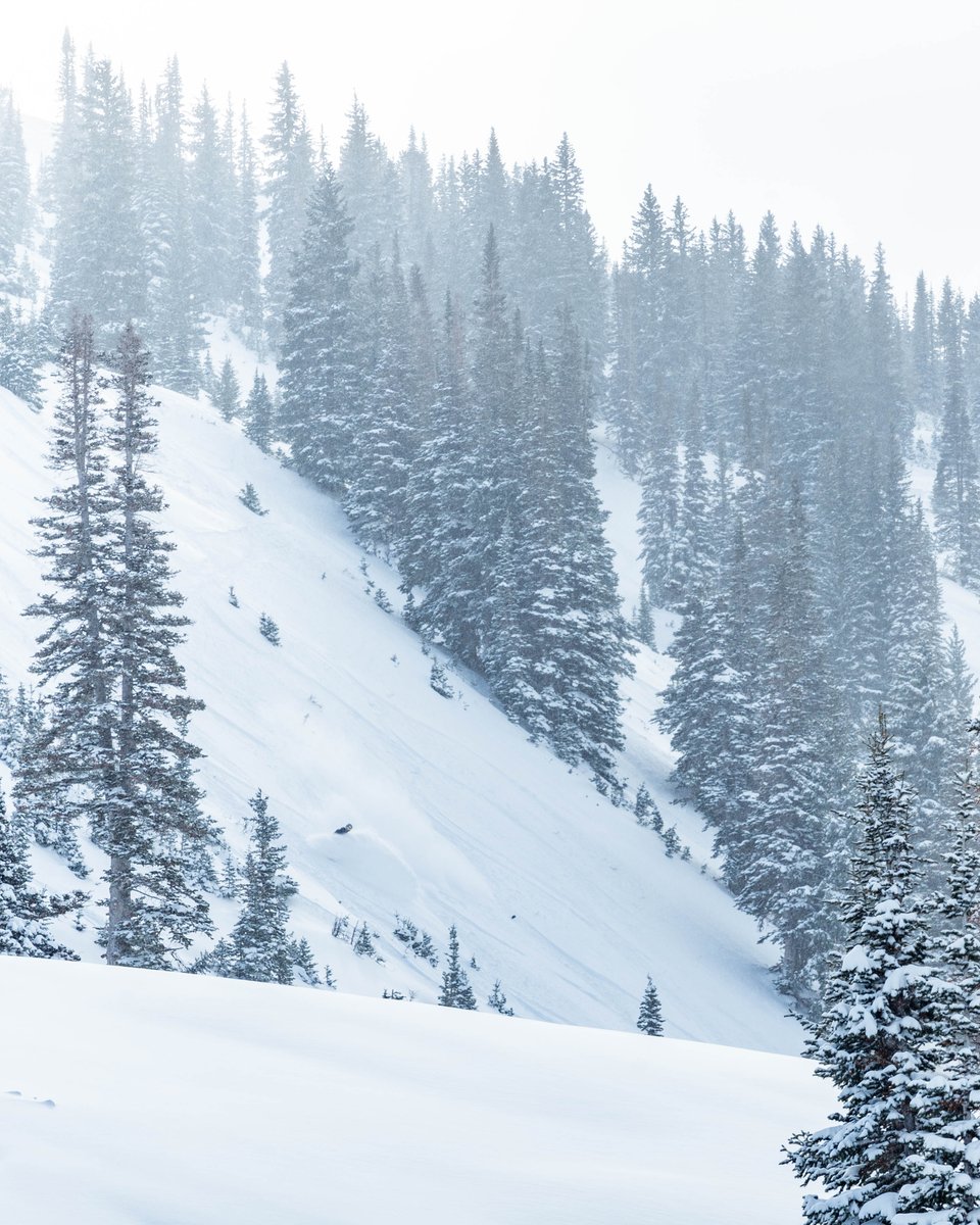 Park City Mountain tweet media