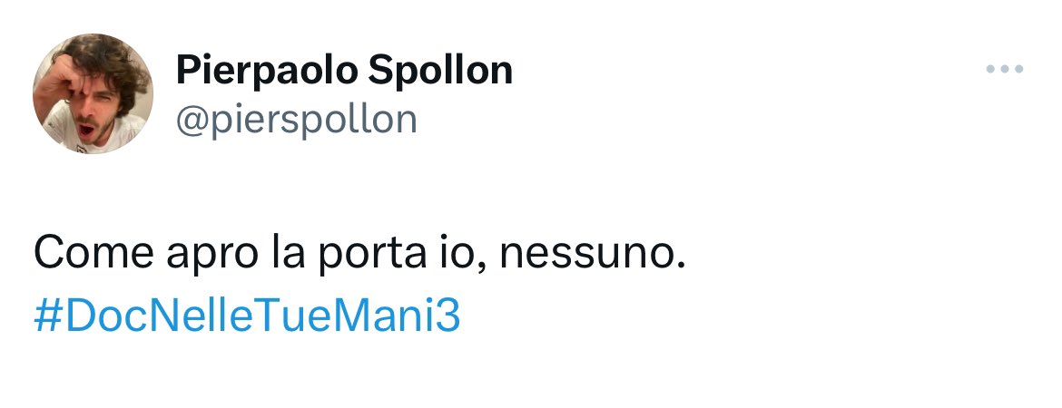 _itscohen's tweet image. Spollon passione porte @pierspollon #DocNelleTueMani #doc3