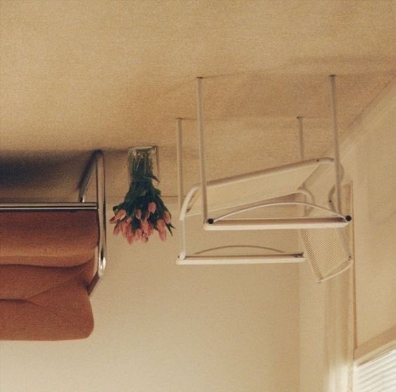 Harry's House memory lane🏠🌷

୨⎯ a thread ⎯୧