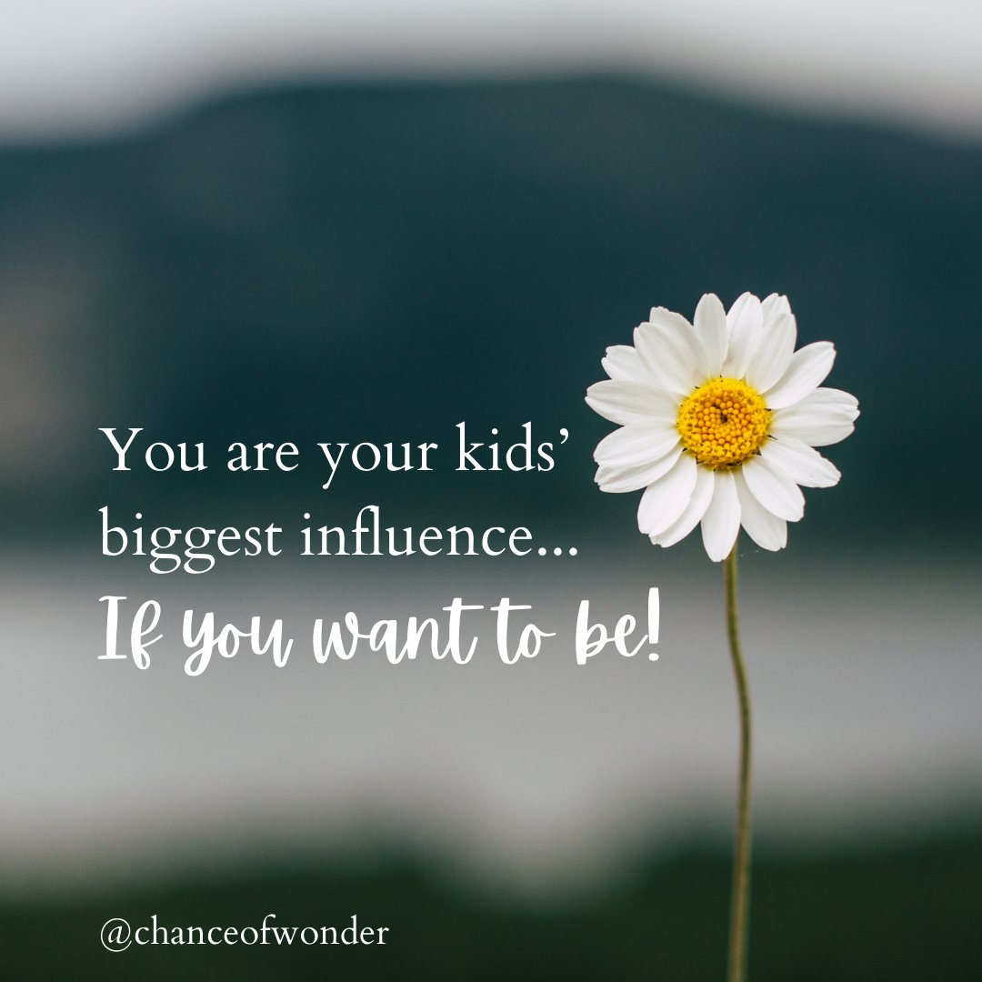 Who is your kids' biggest influence?

#HomeschoolChristianMoms #BestInfluenceForKids  #ChristianHomeschool #PositiveInfluence #ChristianMomsRock  #ParentingWithFaith #InfluenceMatters #GodlyEducation #HomeschoolLove  #MomsTeachingFaith