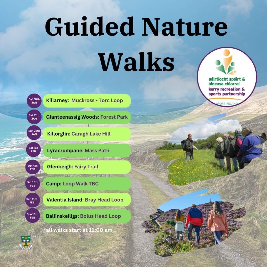 Morrison Tours - The Mountain Guy tweet media