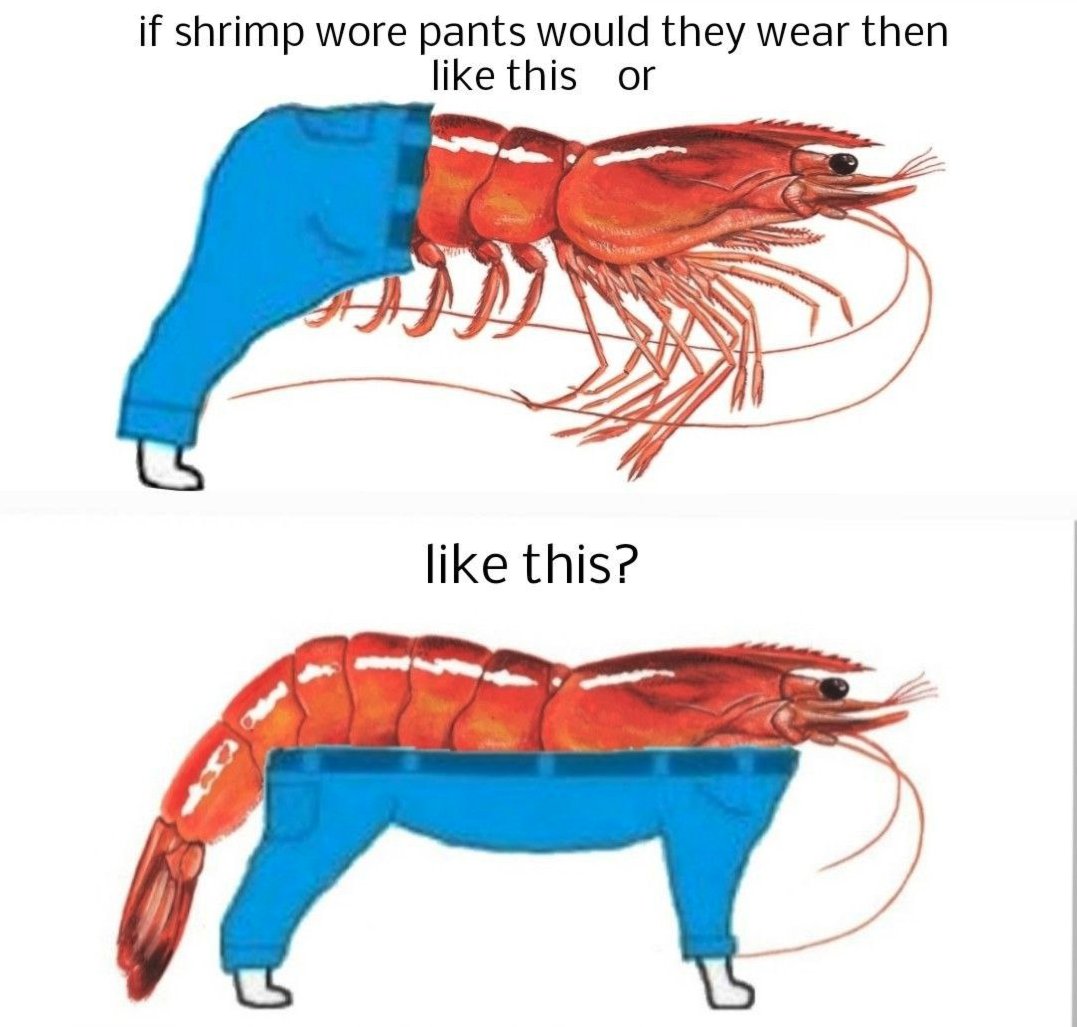 shrimpleSolana's tweet photo. not so shrimple huh? https://t.co/EB8SeyV0VZ
