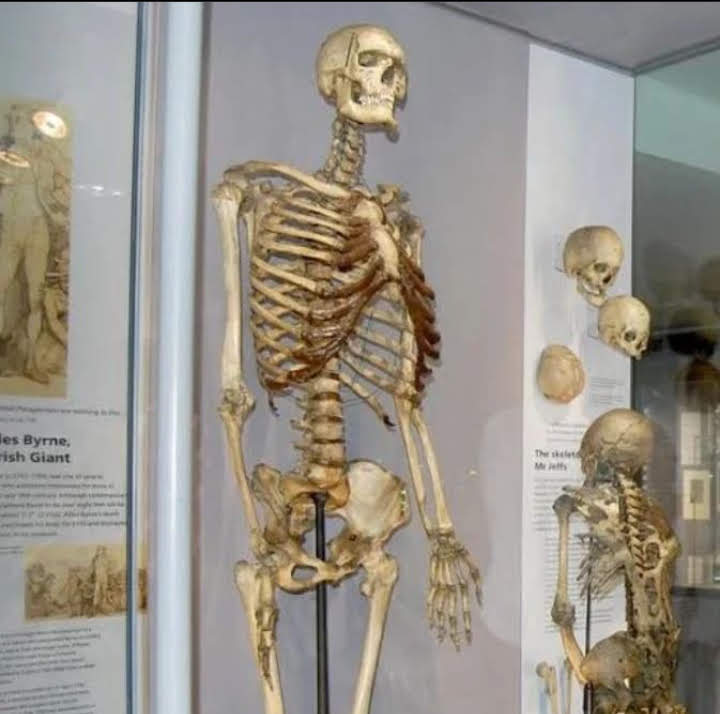 Dr Dave (@dave52doc50628) on Twitter photo 