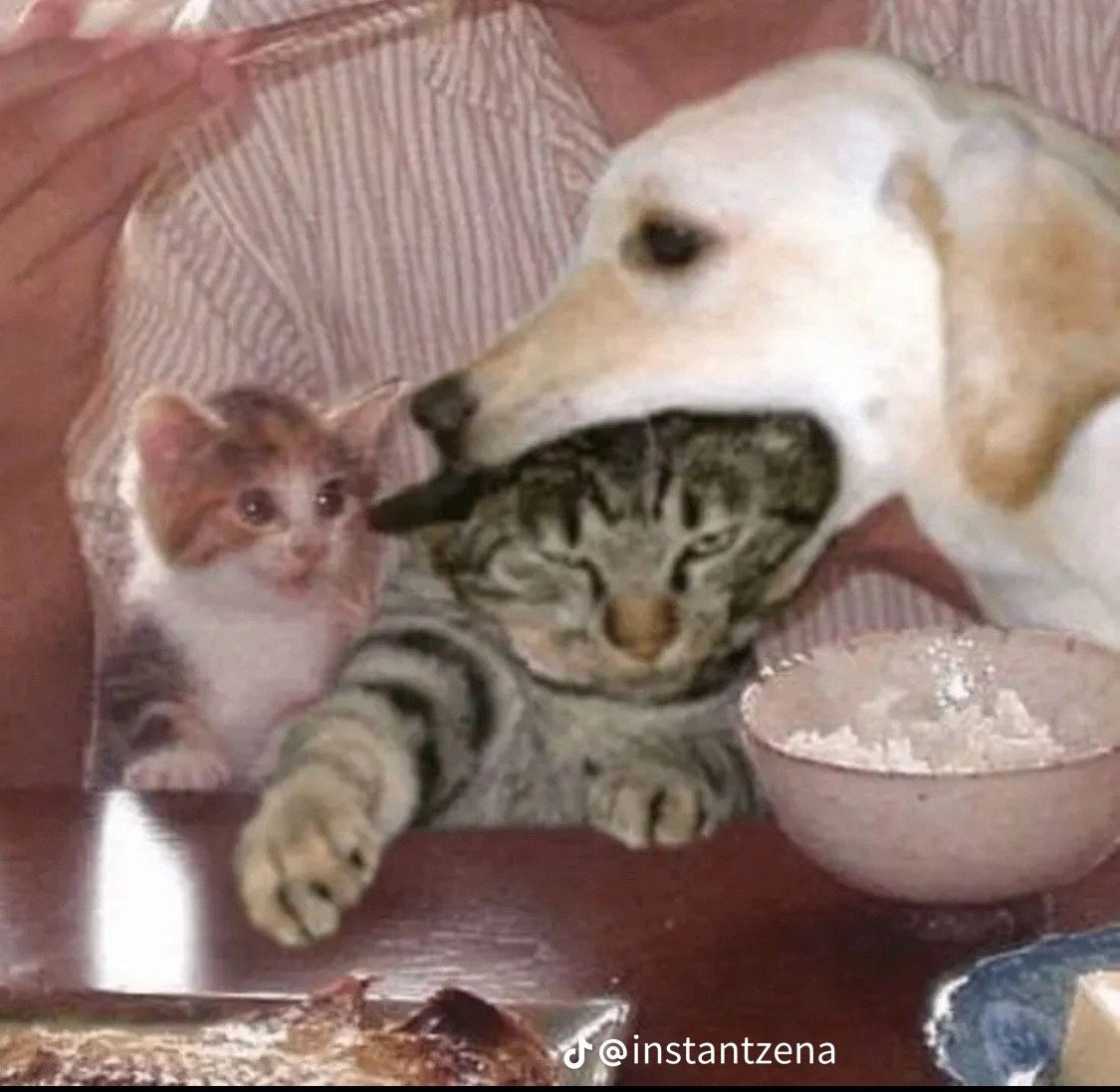 miminohem's tweet image. 