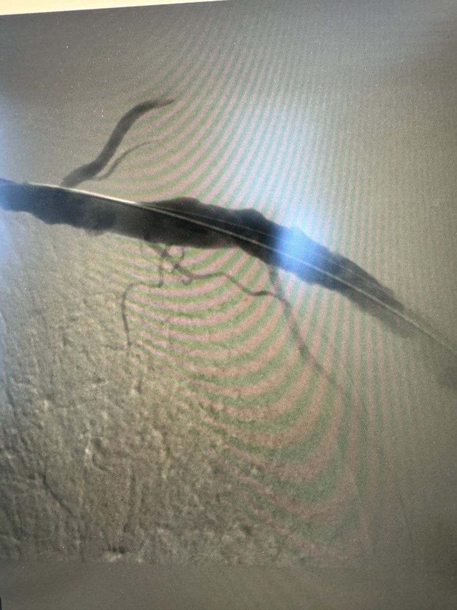 Richard Markiewicz MD tweet media