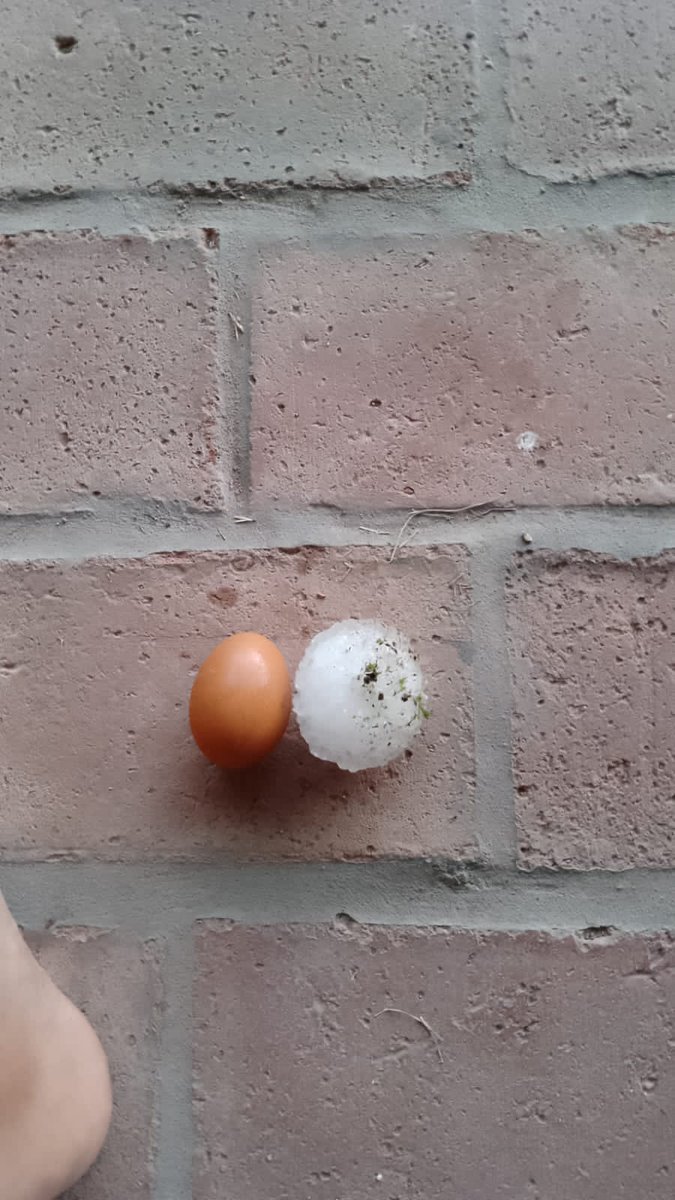 Jonito_076's tweet photo. @MATIPASCUALETTI desbastador lo que está sucediendo en muchos sectores de San Rafael granizo del tamaño de huevos https://t.co/HrWZLnEwXV