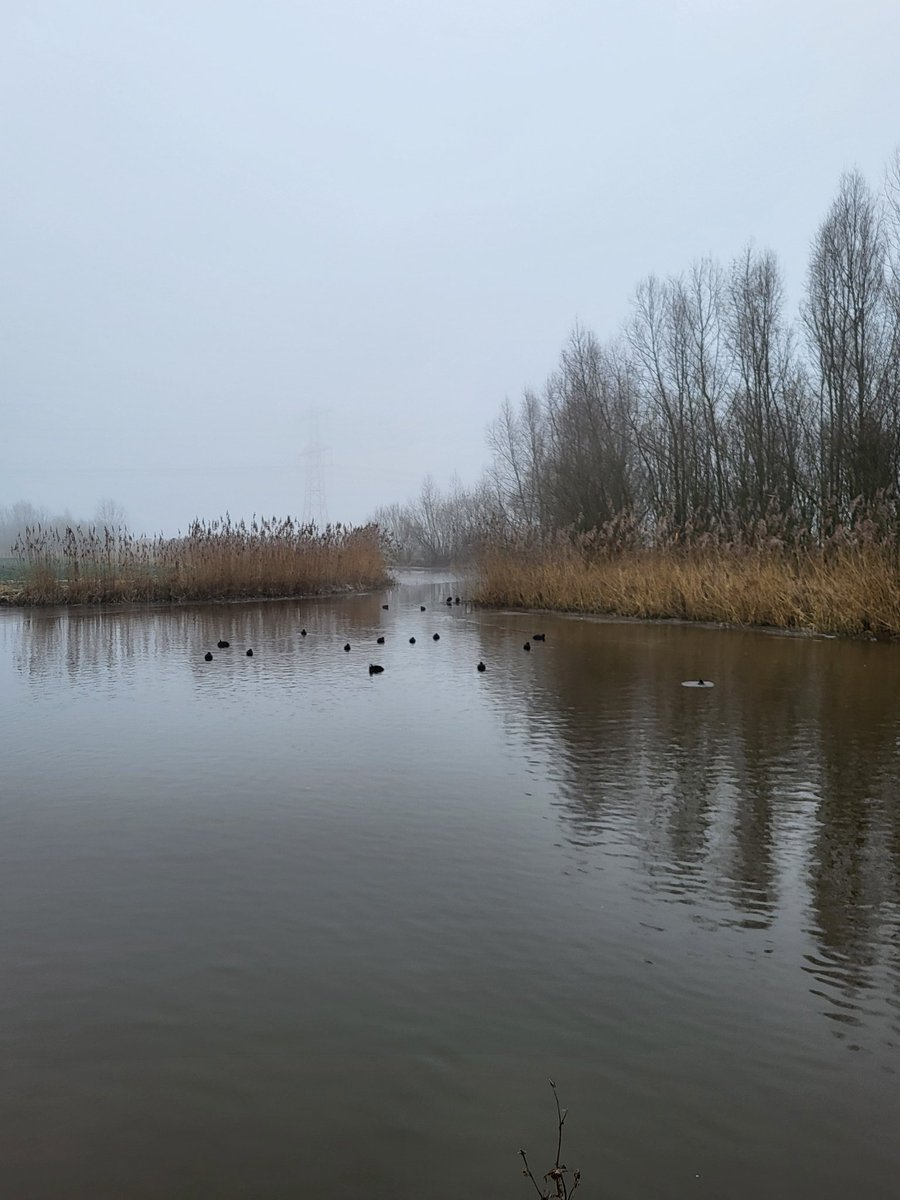 karinn03's tweet photo. Vanochtend een heerlijke echte winterwandeling gelopen.
#winterwandeling #kou #lekker #buiten https://t.co/y7Ss7f864s