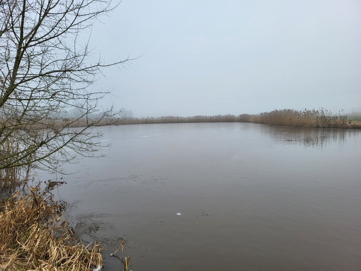 karinn03's tweet photo. Vanochtend een heerlijke echte winterwandeling gelopen.
#winterwandeling #kou #lekker #buiten https://t.co/y7Ss7f864s