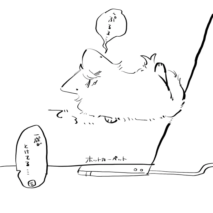 ※擬獣化 ホカペ溶け猫(冬毛)