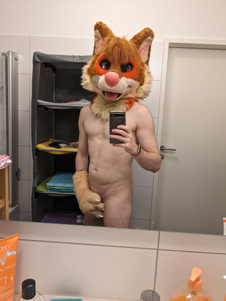 Comfy Shibe tweet media