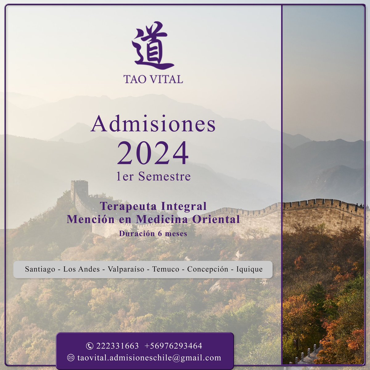 Diplomado Terapeuta integral en medicina Oriental 2024.
Información:
taovital.admisioneschile@gmail.com
Teléfonos:
976293464/2-22331663