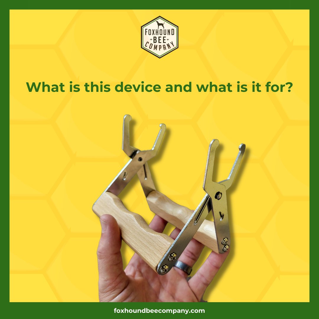 Foxhound Bee Company tweet media