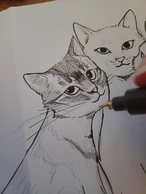 For christmas, I inked little christmas cards for my family members - I drew all their pets, which was a big challenge, but I learned a lot with this, and they liked the gift! Here's a lil process of my aunt and uncle's cats! 