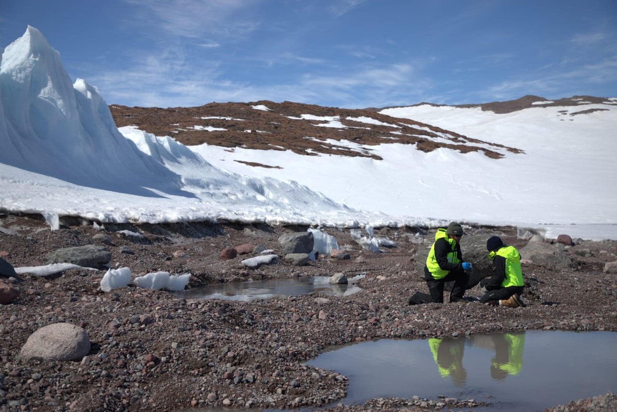 saef_arc's tweet photo. With just over 3 weeks left, our biodiversity team in the Bunger Hills have completed 50% of their sampling.  

They've been collecting lake water, moss &amp; soil samples, &amp; conducting surveys to better understand the biodiversity in the region. 

📷 @TobyTravers_ &amp; L. Phillips https://t.co/xHDIXIpSf1