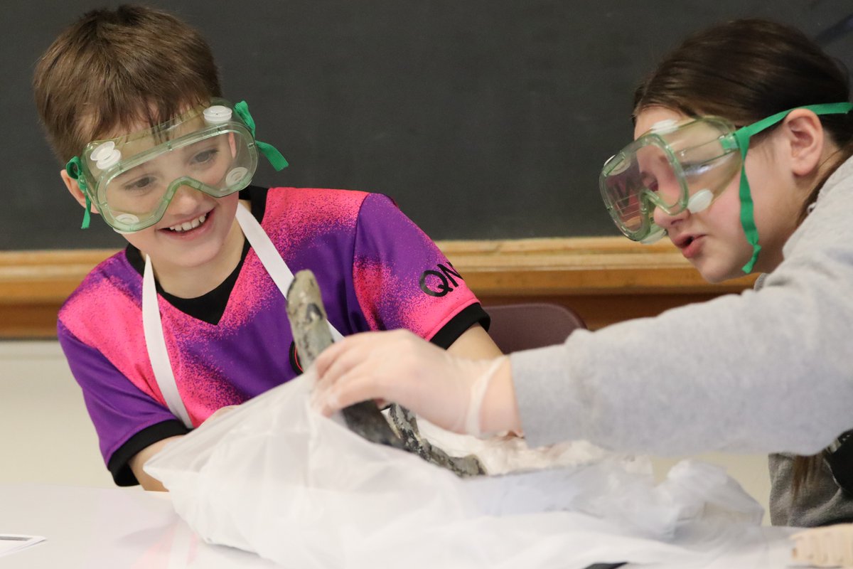 Port Byron CSD tweet media