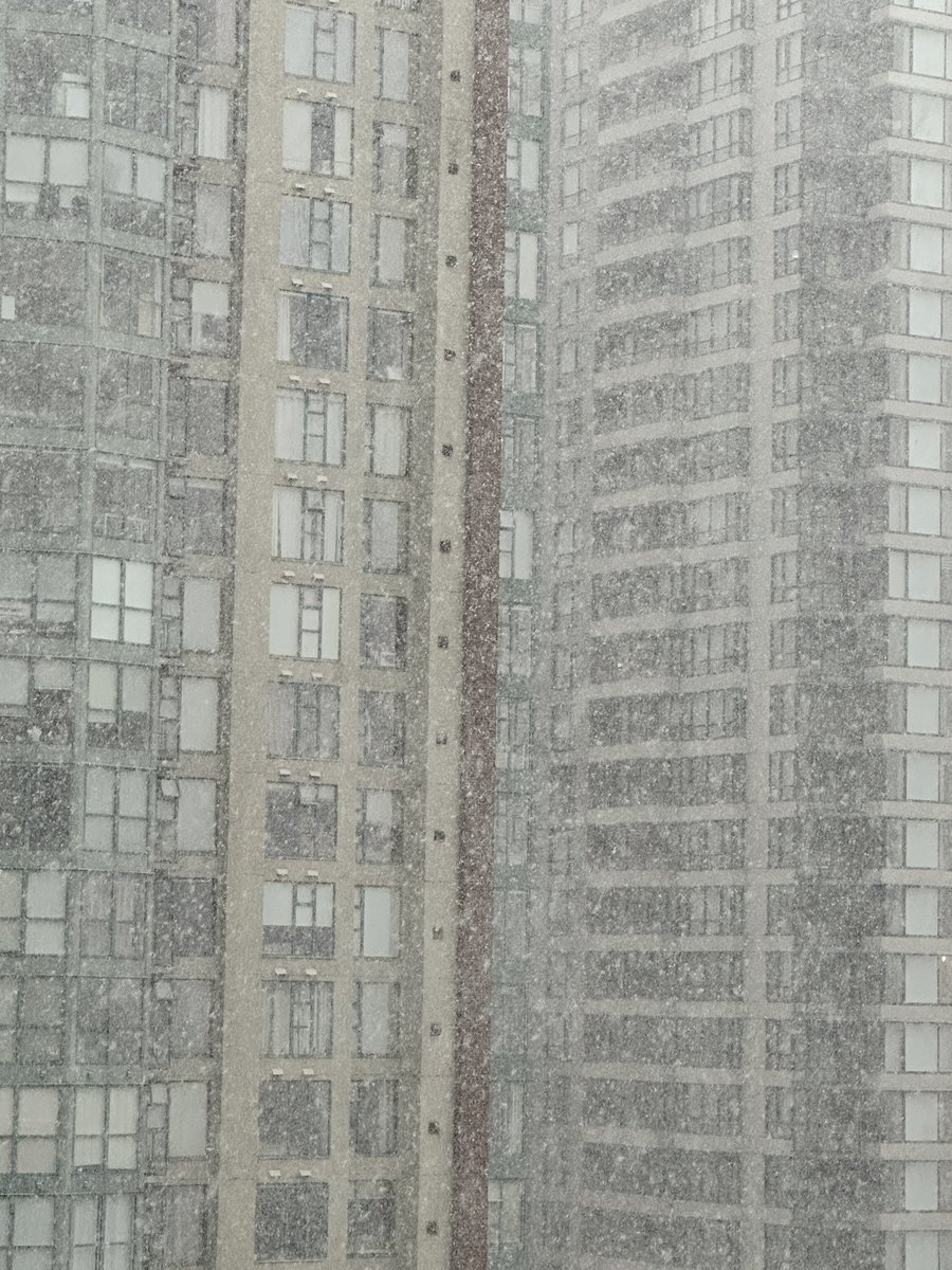 br_webb's tweet photo. The snow has arrived in downtown Vancouver! #Snowcouver #Snowmaggedon #Vanouver https://t.co/qzqDjddi2Z
