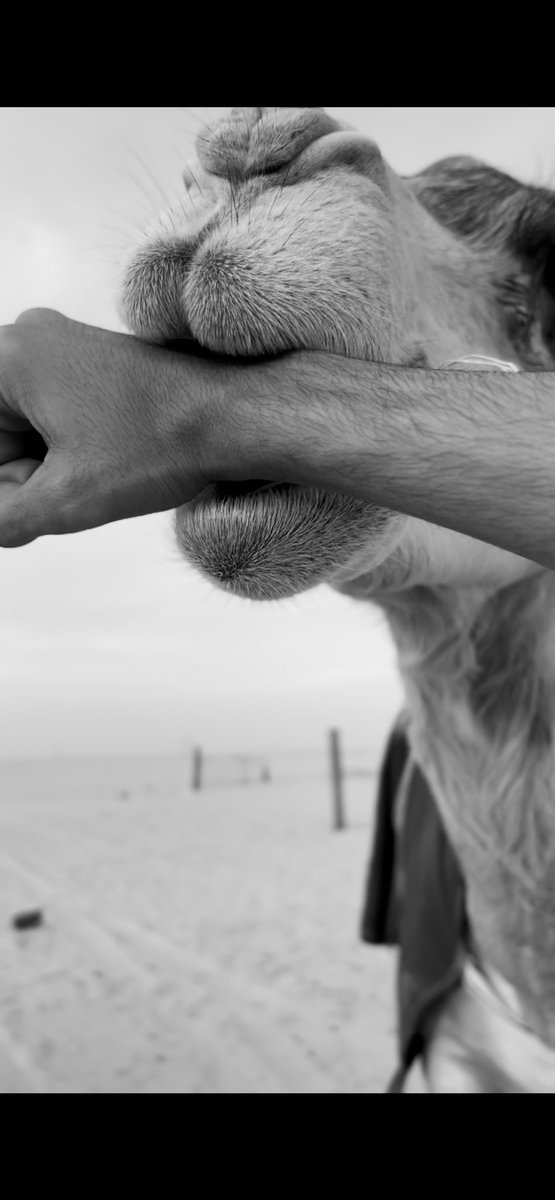 مرحبا يا ذنبي اللي ماكنّه من الذنوب
ماني بـ قايل لدرب الهدايه ودّني

والله إن قلبك مبدّا على كل القلوب
مثل ما بدّيت قلبك عليهم بدّني 

خاطرك يستاهل أرضيه لو تزعل شعوب 
والله إن أرضيه لو الزمان يحدّني