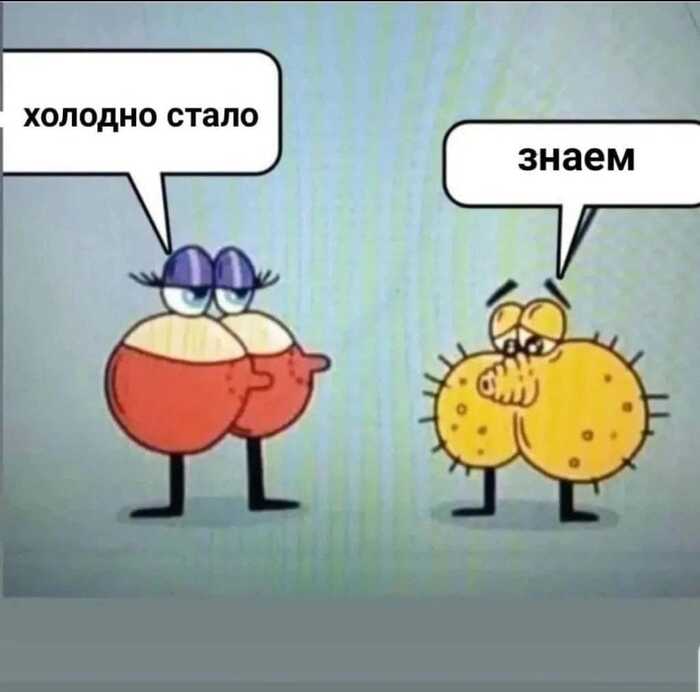 Опять морозы передают....