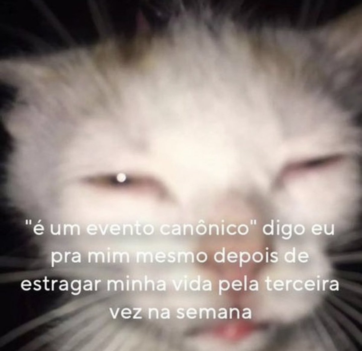 shitpostverdade's tweet photo. https://t.co/gZma7TlmeP