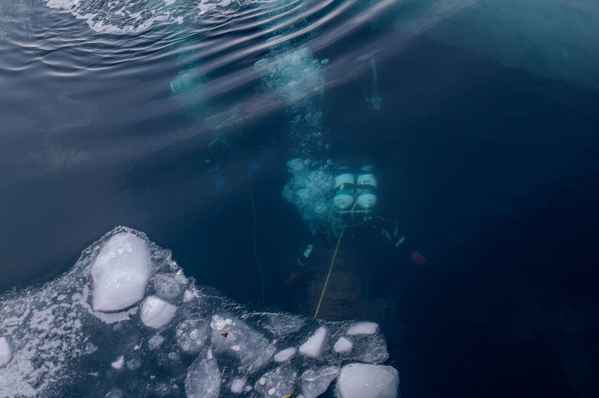 USPACOM's tweet photo. .@USCG divers with #CutterPolarStar conduct scientific research at McMurdo Sound during #OpDeepFreeze, a 🇺🇸 mission supporting Arctic operations in support of a #FreeAndOpenIndoPacific.

@USCGPACAREA |@uscgfmsg | @USCGHawaiiPac

📍: #Antarctica

📸: PO2 Ryan Graves https://t.co/H5xyxEvZhx