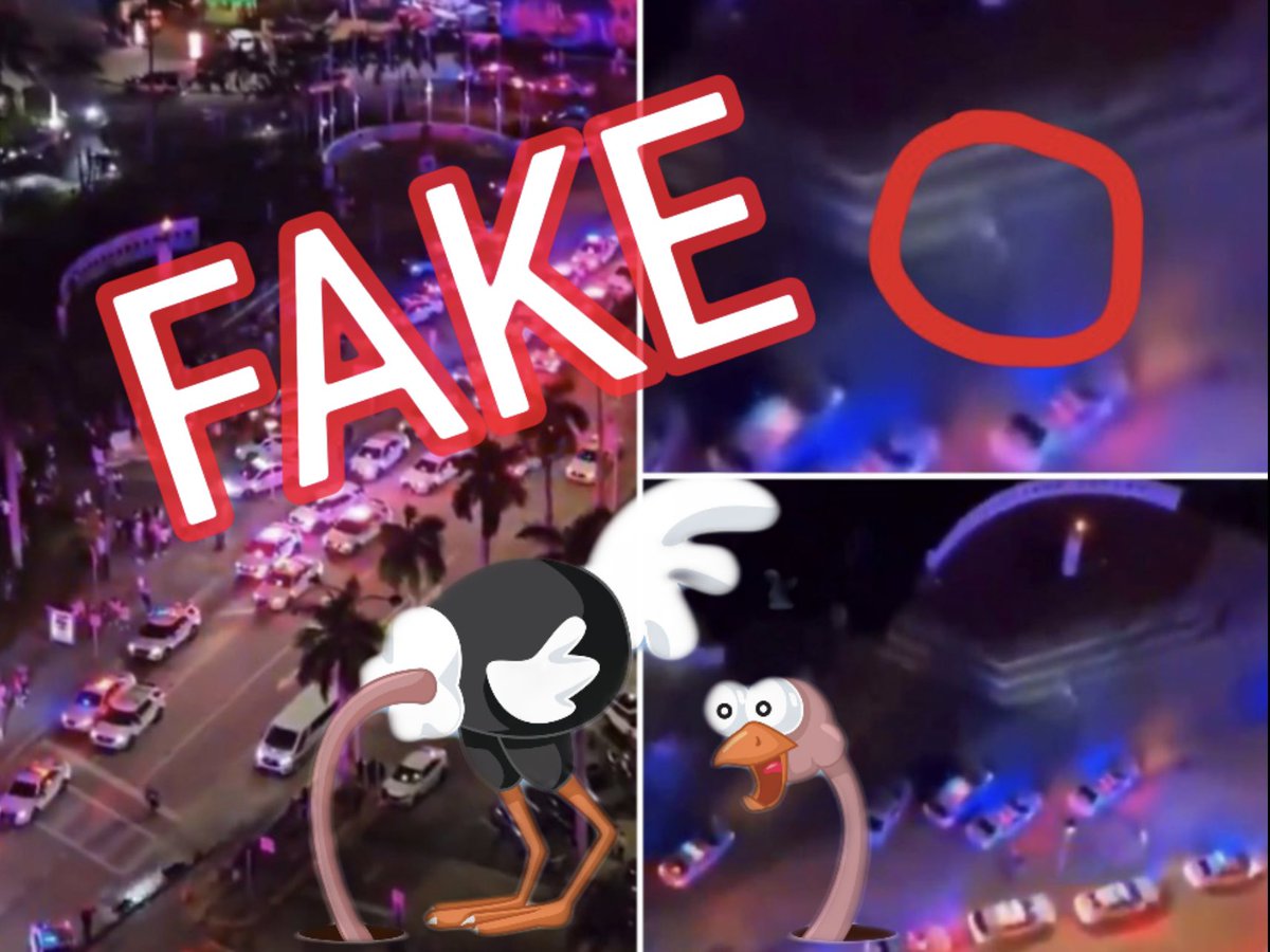 Anyone talking about or believing the alien mall sighting in Miami FL is an absolute fool. You are all a part of the problem. What lies people choose versus truth they ignore. Let me make this absolutely clear. Anything that is viral and promoted by mainstream media is…