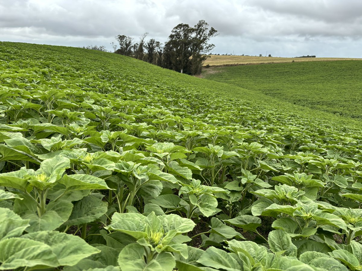 Mike Porter tweet media