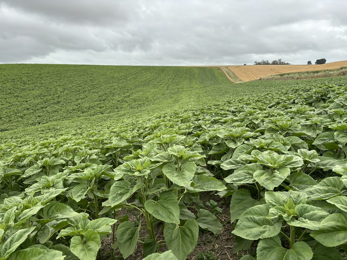 Mike Porter tweet media