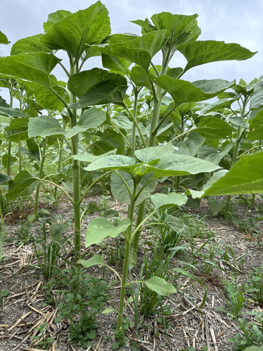 Mike Porter tweet media