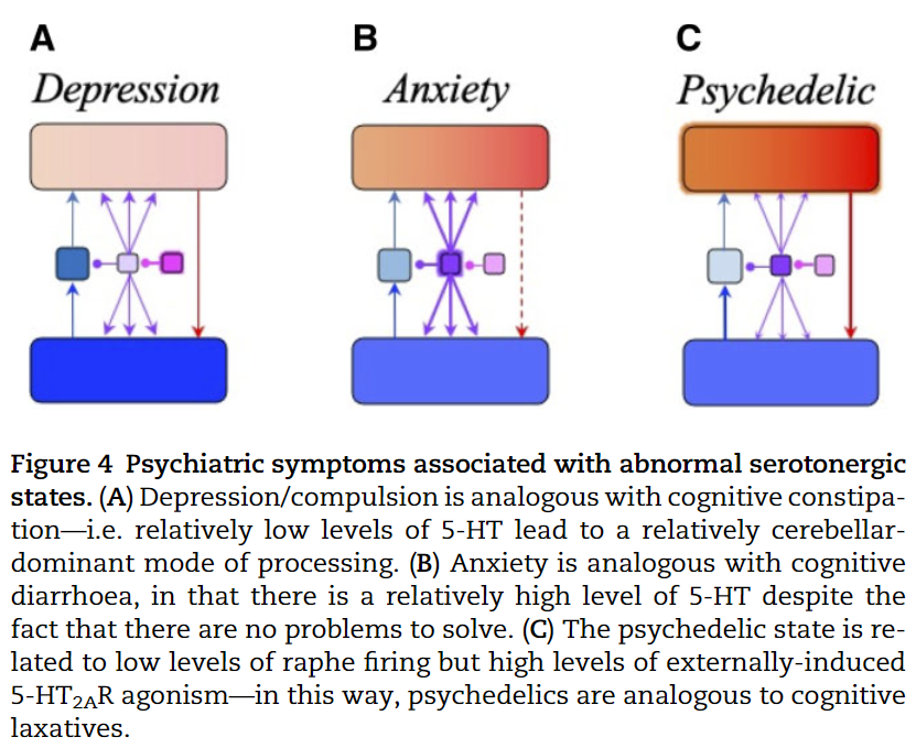 It's been well over a year, but I still haven't fully processed that I am co-author of a theory paper suggesting that 'psychedelics are analogous to cognitive laxatives.' And this happened in part via a question I asked during a journal club! academic.oup.com/brain/advance-…