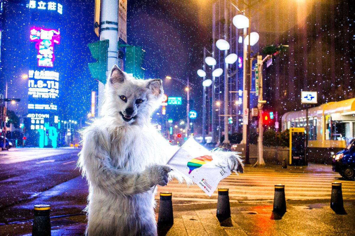 Happy #FursuitFriday in my @witlupus suit ✂️ @CopperSprite 📸 @m2mafang 🗓 30.10.2019 🏙 #Taipei 🇹🇼 🦊 @infurnity #infurnity #infurnity5 #infurnity2019 #Taiwan #Taipeh #Fursuit #Furry #Wolf #Berk #nightwalk #copper #Crosswalk Follow my Berk-News (TG): t.me/Berk_News