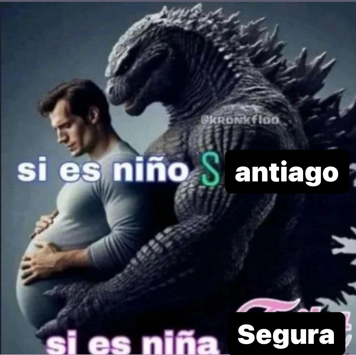 ANTIDOLAN tweet media