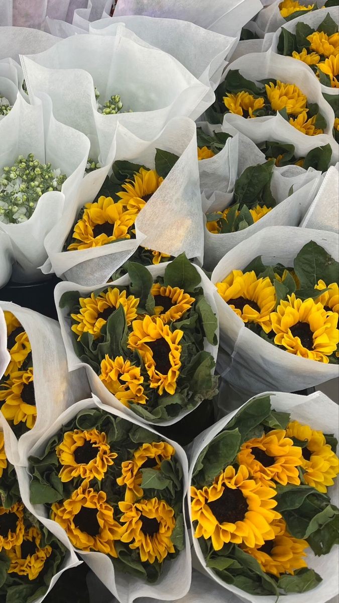 sunflowers🌻