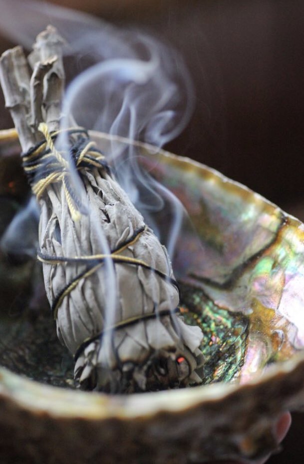 EileenPCarry's tweet photo. #Sage—it does the page good.
I burn #botsbegone brand. ☠️. https://t.co/BTQL4jJv3u
