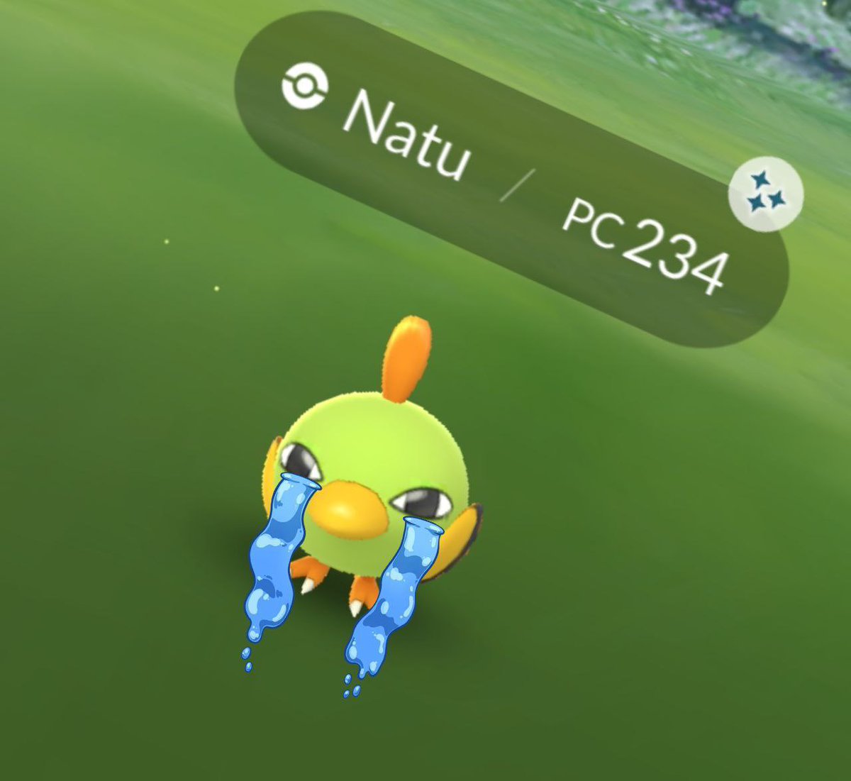 AlexPiup's tweet photo. @8BitCR Con mis amigos que juego tenemos un grupo y estas son las capturas que nos pasamos cuando nos sale algún shiny 🤣🤣🤣 https://t.co/uykOQTtZxX