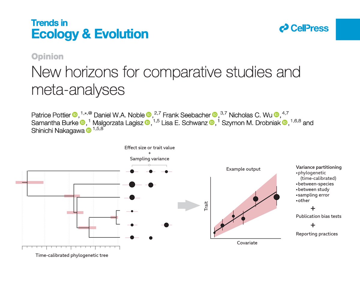 New paper out in @Trends_Ecol_Evo! Lead by @PatriceEcoEvo, we suggest comparative analysis & meta-analysis are statistically similar & combining their strengths will help improve comparative studies | sciencedirect.com/science/articl…